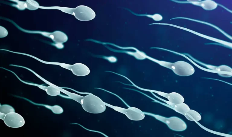 Mitos y realidades: qué dicen los expertos sobre la supuesta crisis de fertilidad masculina