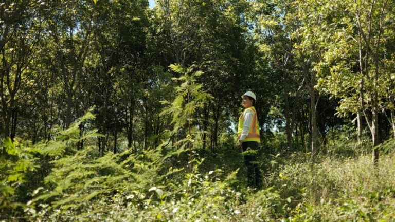 CAMIPE: “La modernización de la Ley Minera es la mayor garantía de protección ambiental para el país”
