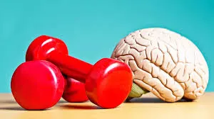 Estos son los beneficios inmediatos que impactan en el cerebro al comenzar a entrenar