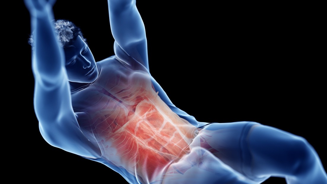 Contraer abdominales podría beneficiar la salud cerebral, según estudio