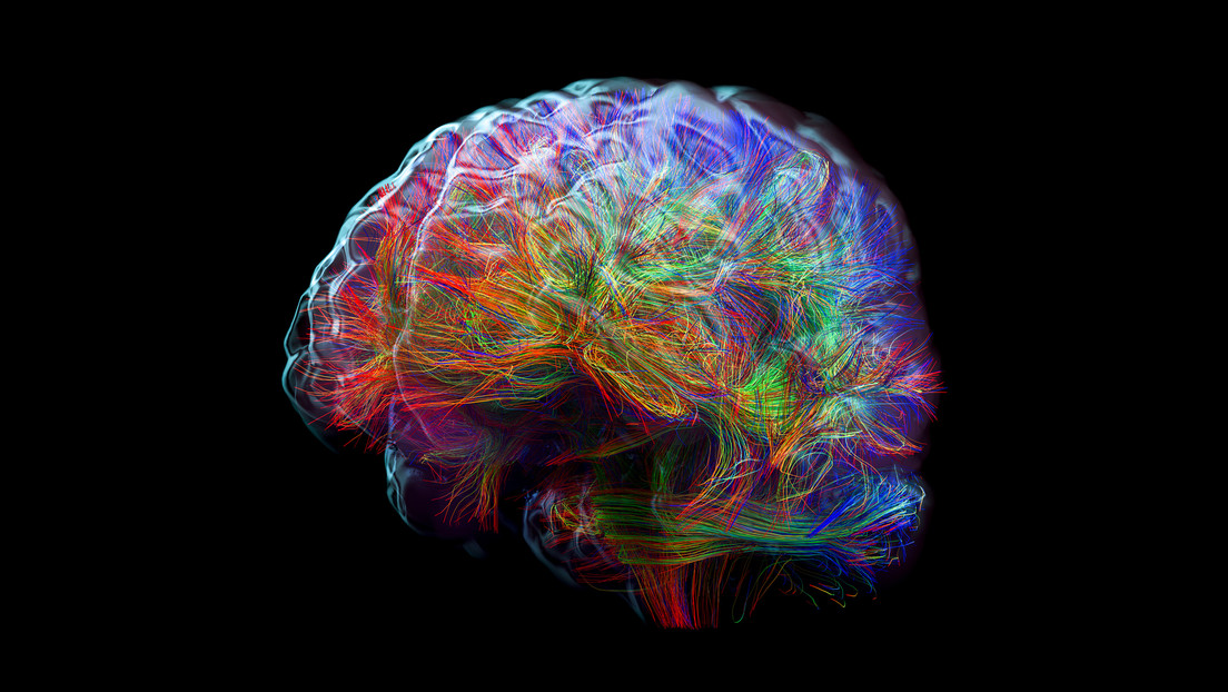 Un inesperado descubrimiento podría cambiar lo que se sabe sobre el cerebro de los recién nacidos