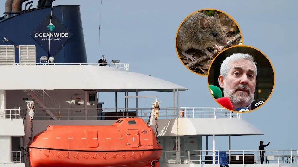 Última hora: El crucero MV Hondius llega a Tenerife por brote de Hantavirus