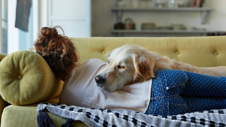Confirmado: dormir con un perro es más saludable que con un gato