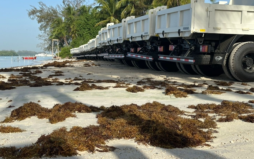 República Dominicana recibiría tres millones de toneladas sargazo