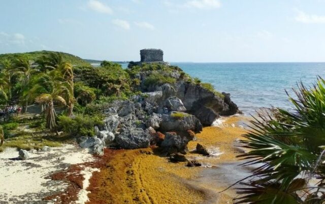 Tulum: hoteles evalúan operar solo en periodos de menos sargazo