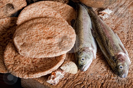 PALABRA DE DIOS DOMINGO DE LECTURA Denles ustedes de comer.