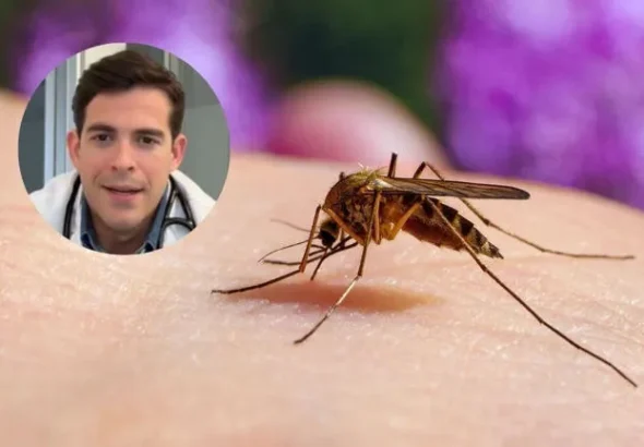 Desmintiendo el mito: Cardiólogo aclara por qué los mosquitos pican a unas personas más que a otras