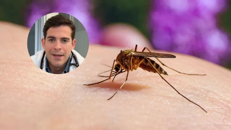 Desmintiendo el mito: Cardiólogo aclara por qué los mosquitos pican a unas personas más que a otras