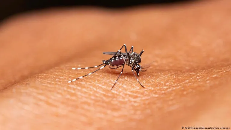 El cambio climático reconfigura drásticamente el mapa del riesgo de malaria en África