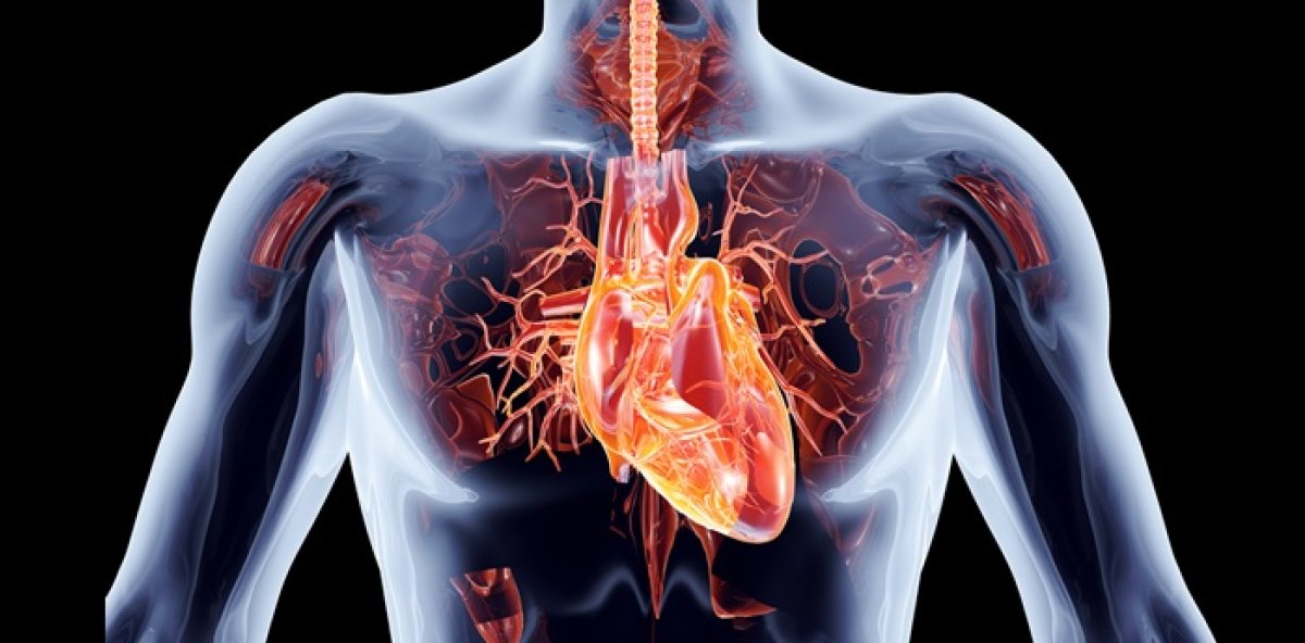 Estos son los cinco indicadores de salud que debes vigilar para cuidar tu corazón