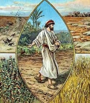 PALABRA DE DIOS SABADOS DE LECTURA Salió un sembrador a sembrar su semilla...