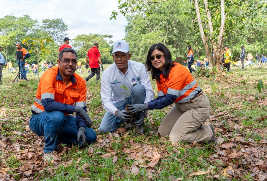Barrick Pueblo Viejo: Reforesta 1.2 hectáreas en cuenca de Hatillo