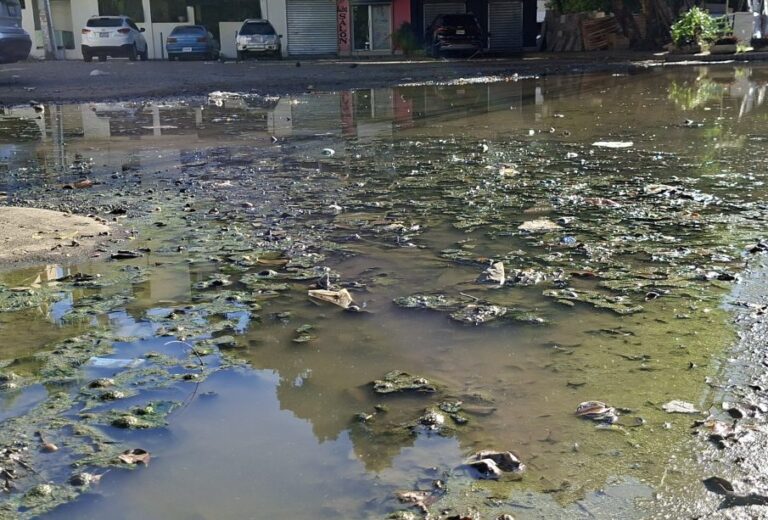 Santo Domingo Este sufre grave alerta sanitaria por cloacas
