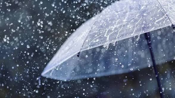 Alerta verde: COE emite aviso por lluvias en varias provincias